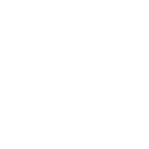 logo300x300